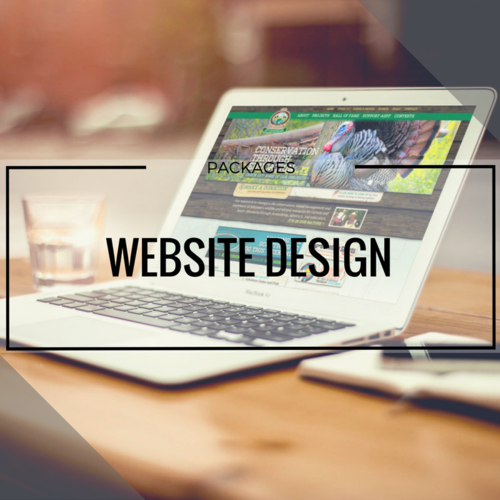 WEBSITE DESIGN